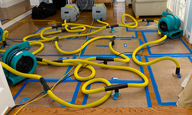 Professional Burst Pipe Water Damage technician working in Chillicothe, IL